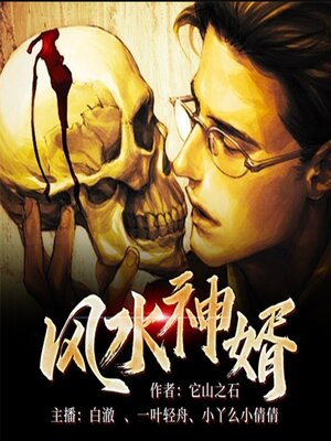 cover image of 风水神婿2